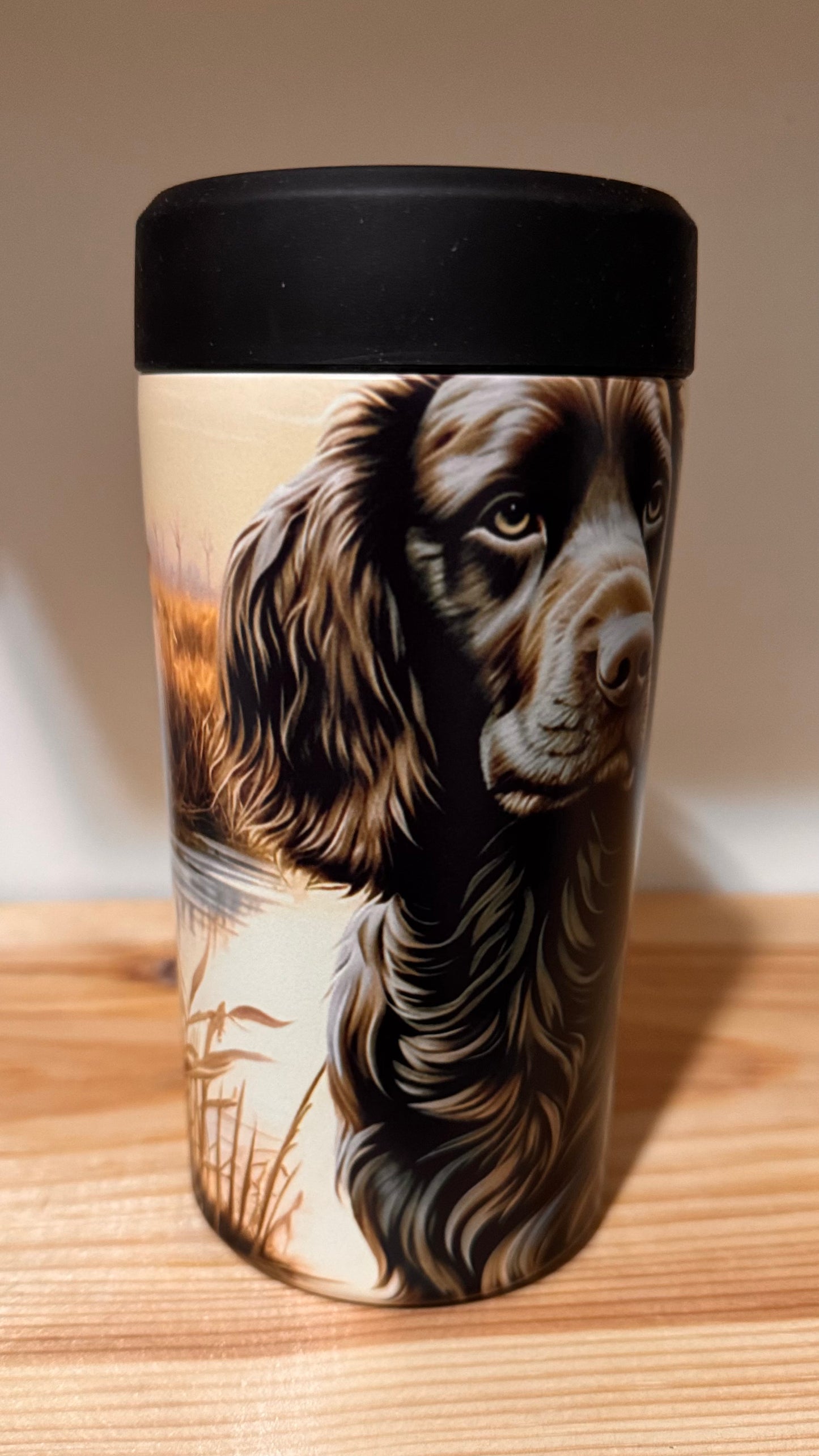 Frosty Buddy Springer Spaniel