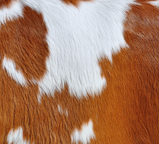 20oz Cowhide Tumbler